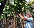 Crédito ajuda agricultores de Morretes a retomar produção